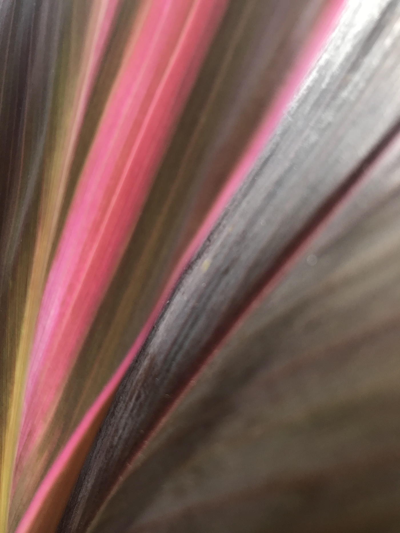 Abstract photography with brown, pink beige and gray tilted lines that converge to the left bottom.