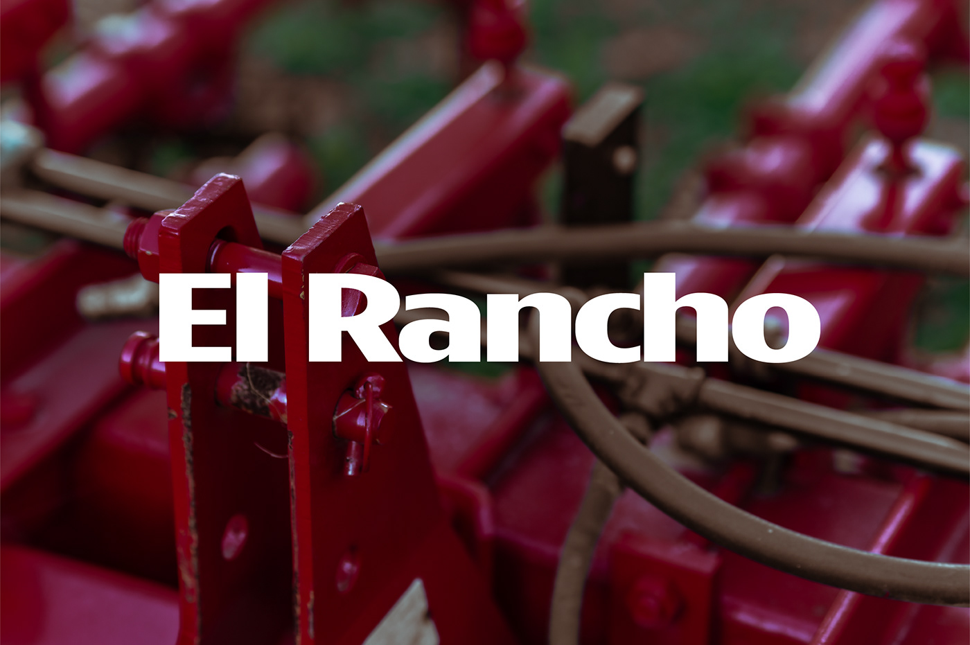 retrato rancho ranch Photography 