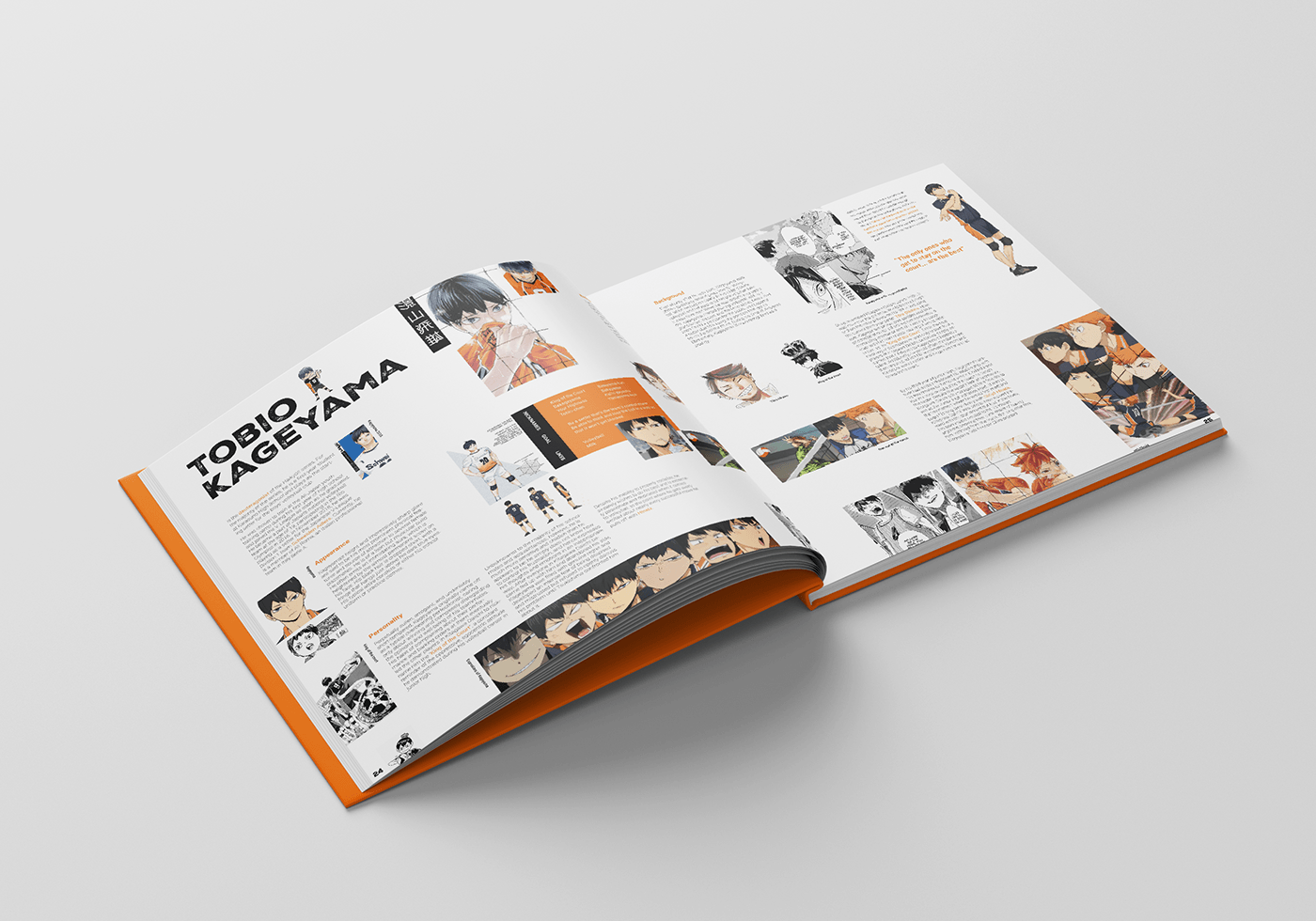 Encyclopedia design typography   InDesign Layout graphic design  anime