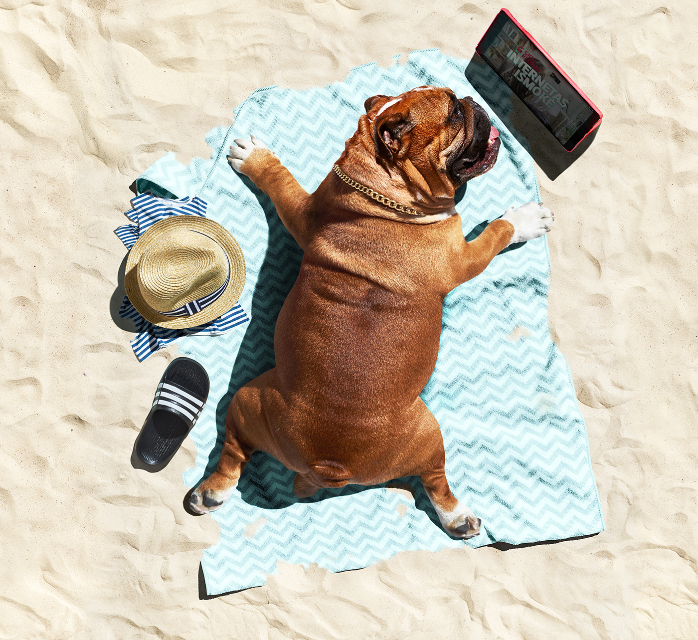 dog beach top view photoshop Post Production Unlimited selfie Browsing headphones