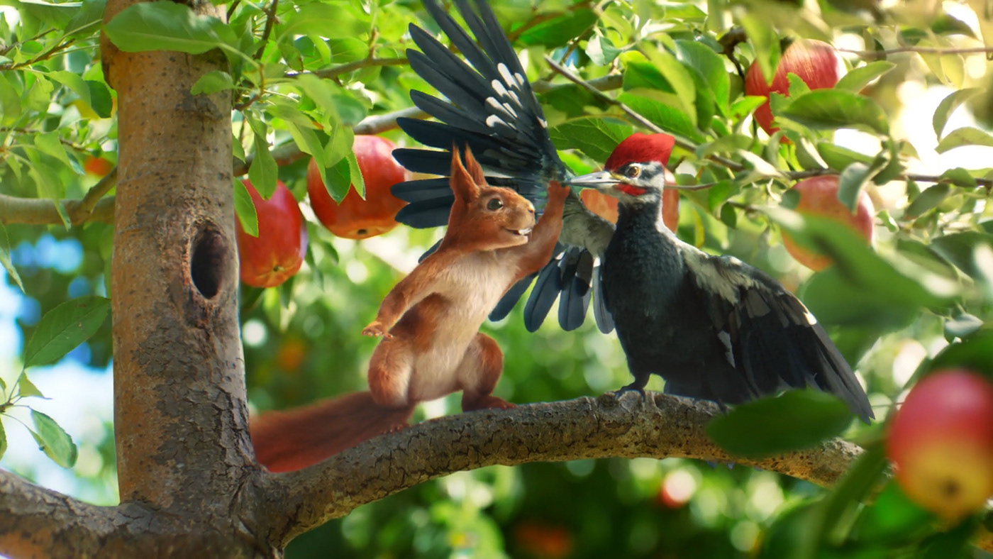 CG vfx animation  characters animals squirrel woodpecker Fur feathers grooming