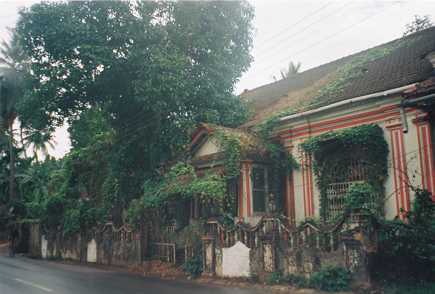 analog Film Camera Travel Goa cityscapes Documentary  home facades Travel Project