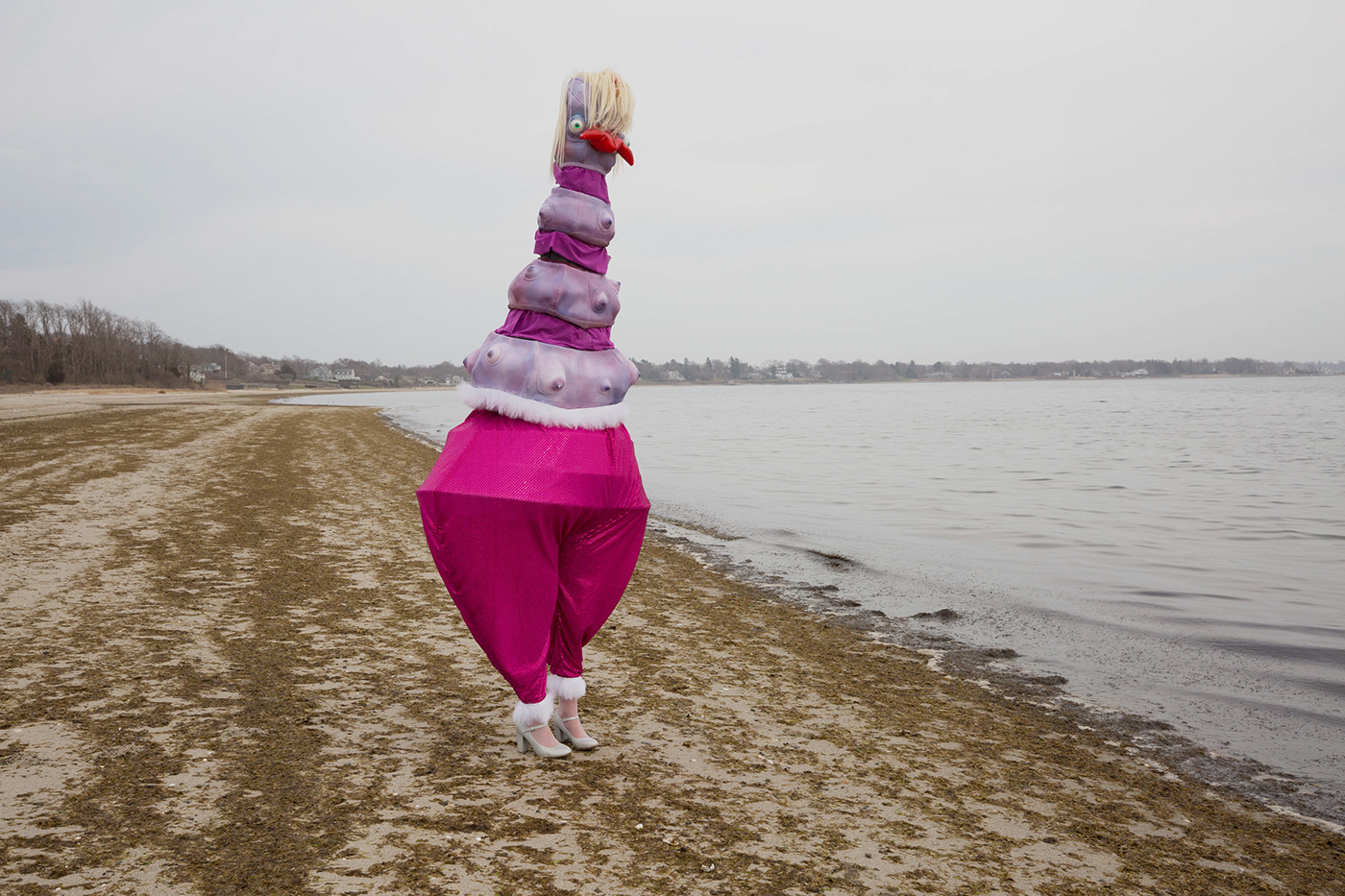creature Creature Design Performance big nazo risd chicken costume funny DANCE   purple