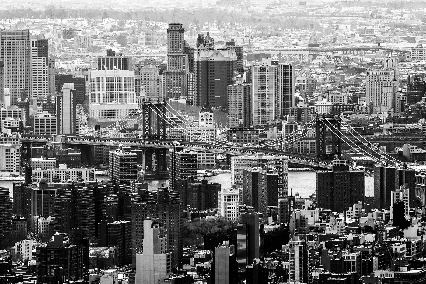 Adobe Portfolio New York vertigo