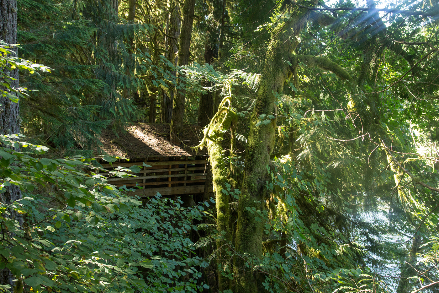 Oregon Sandy OR Ashland OR Nature landscapes tree house river rocks