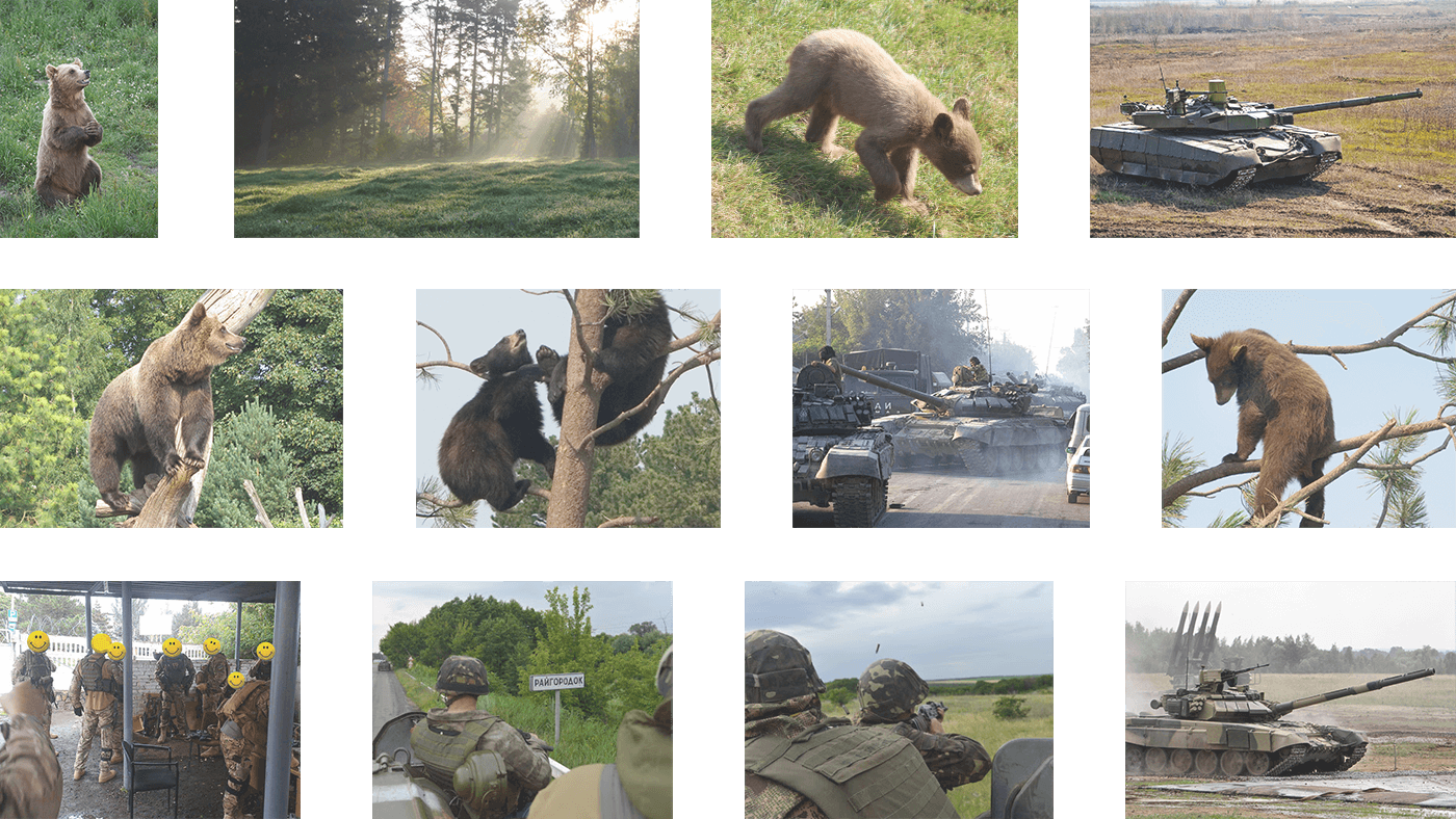 shishkin MORNING fog Tank vavs War bear forest grass t90 ukraine Russia soldier Matte-painting photomanipulation