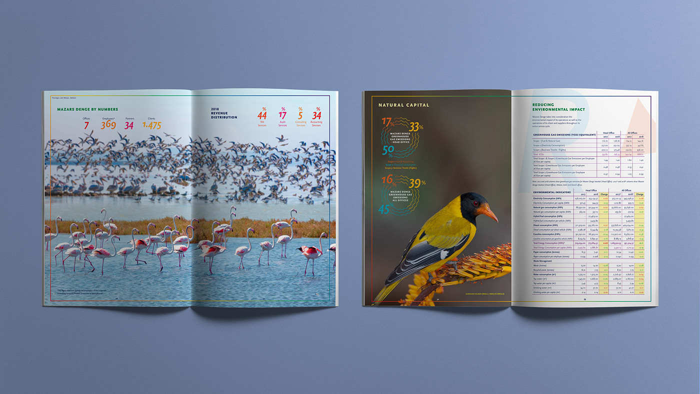 art direction  editorial design  graphic design  Layout sustainability report