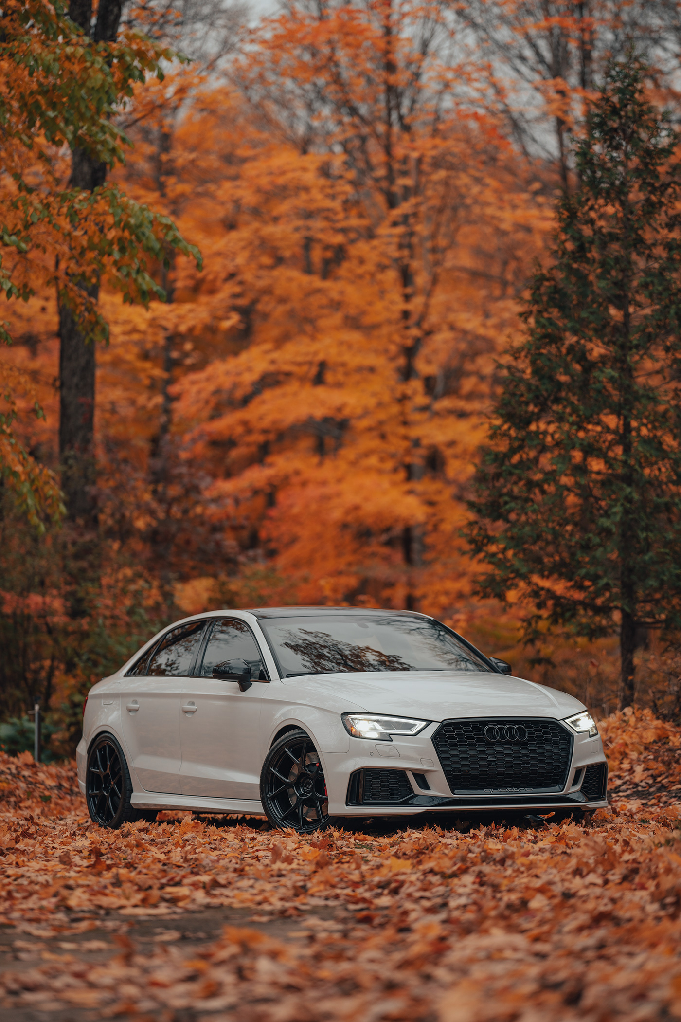 Audi car Photography 