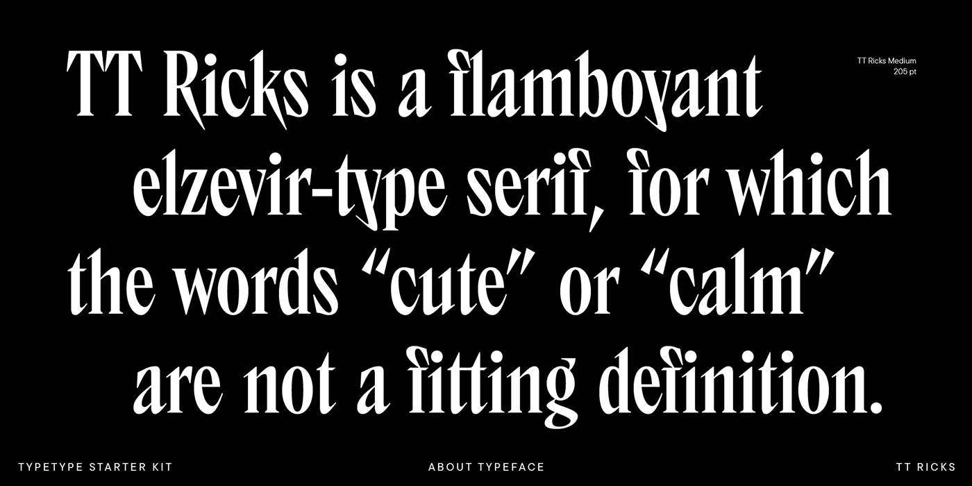 display font Experimental font funky informal type serif started kit font type design Variable Font Variable type web font