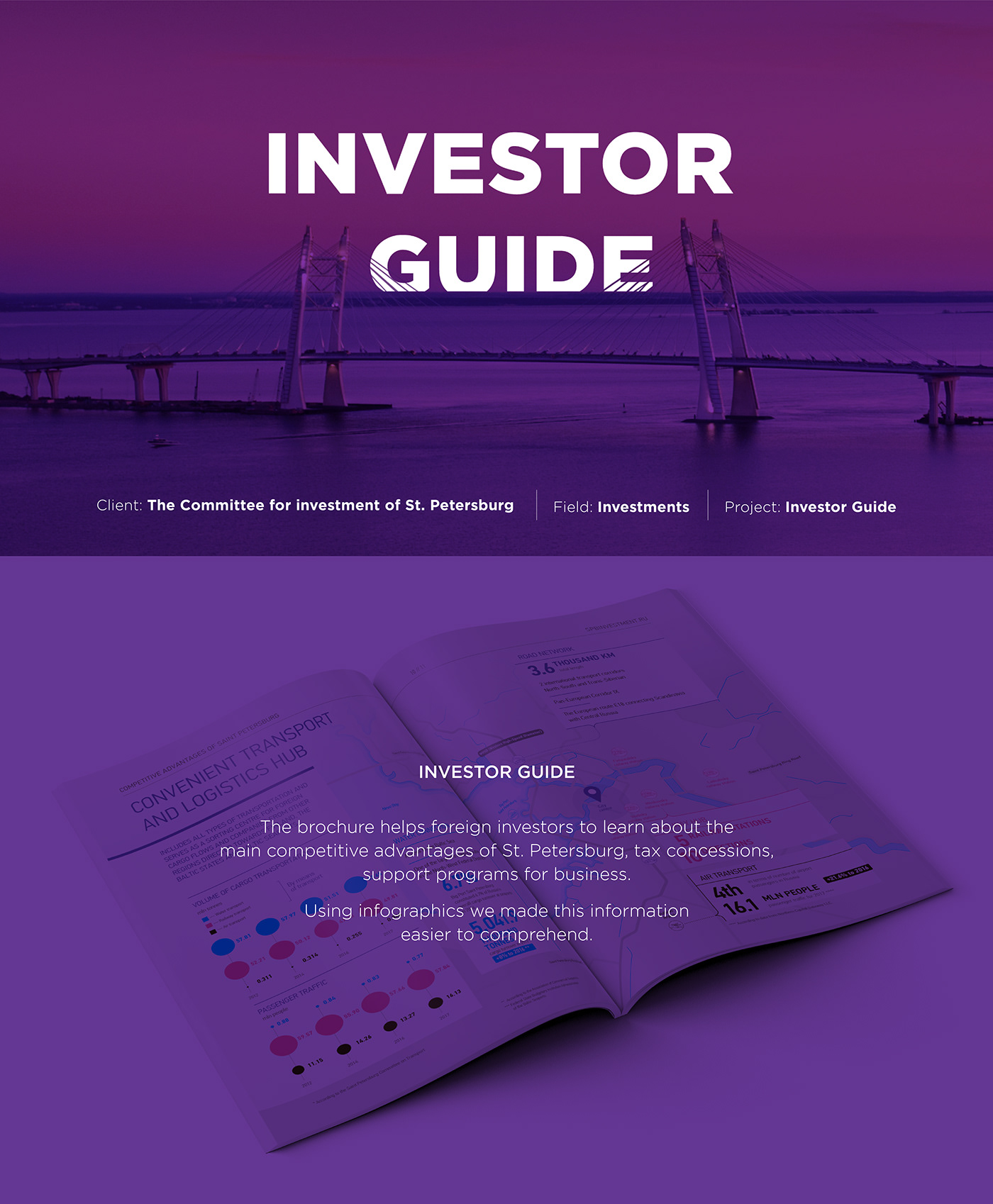 infographics information design report statistics information architector Investments graphics инвестиции инфографика отчет
