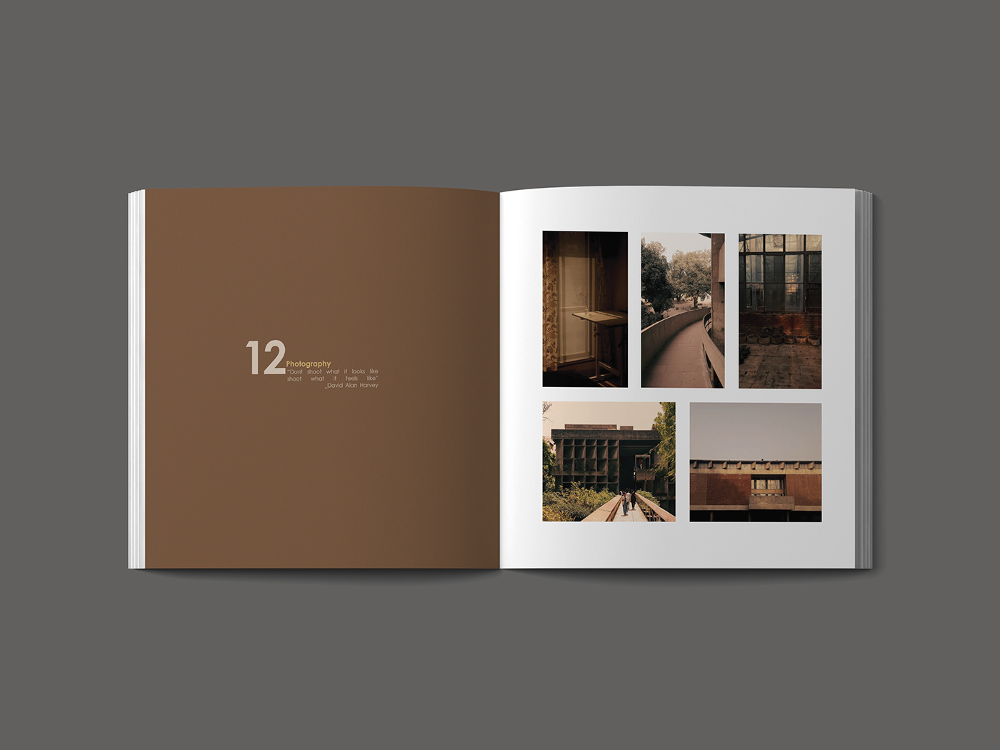book InDesign portfolio architecture interior design  Render academic design Graphic Designer Project