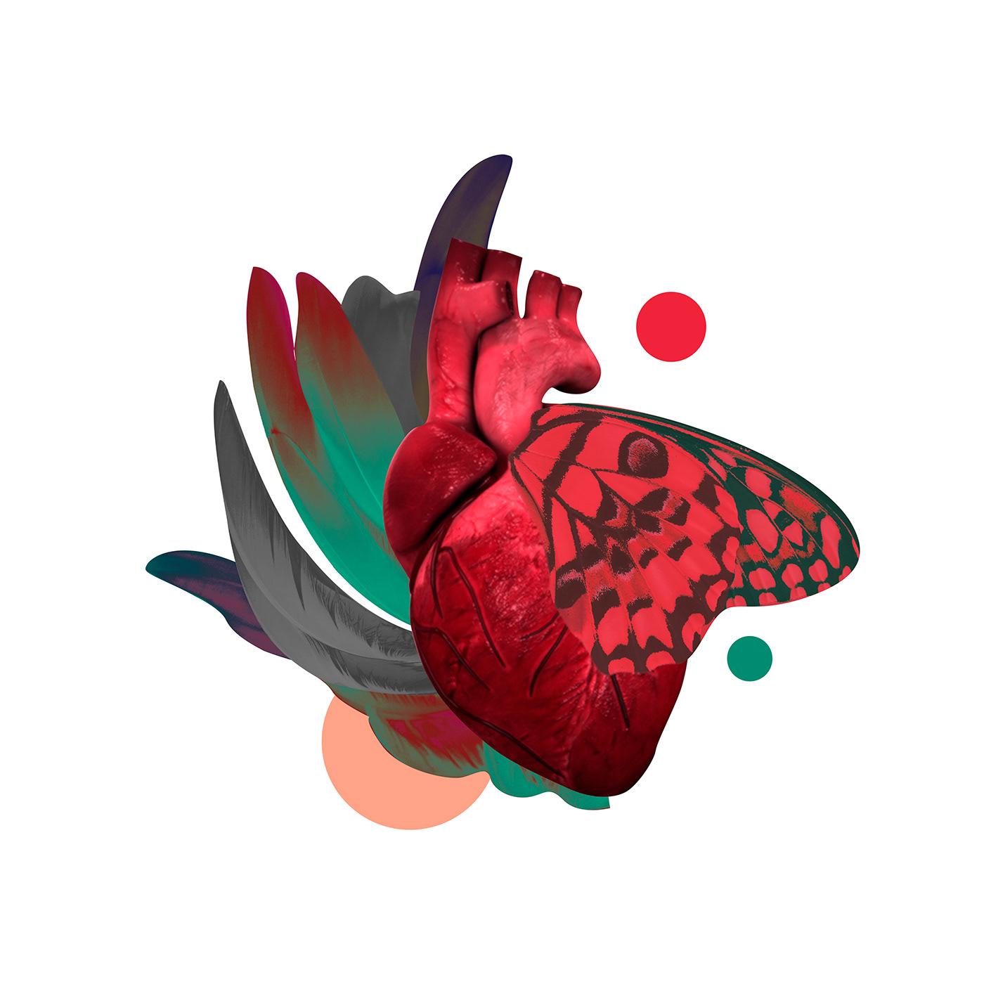 ILLUSTRATION  collage digital Love heart коллаж иллюстрация butterfly flower color