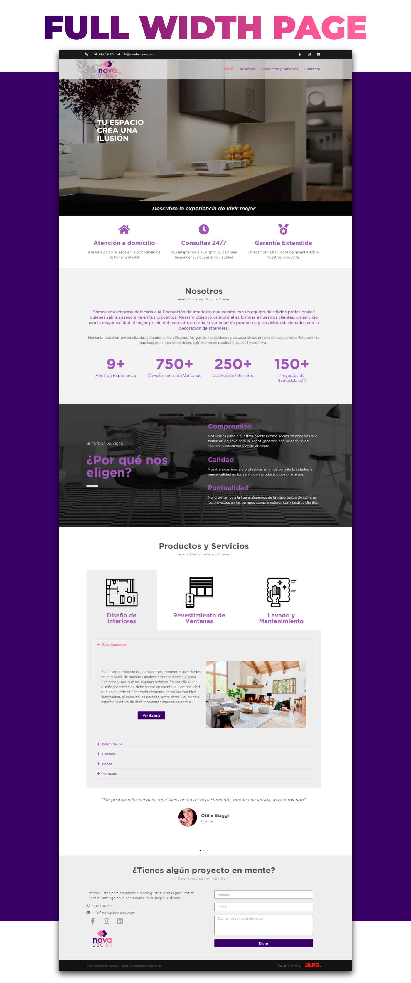 branding  diseño gráfico Diseño web Web Design  wordpress