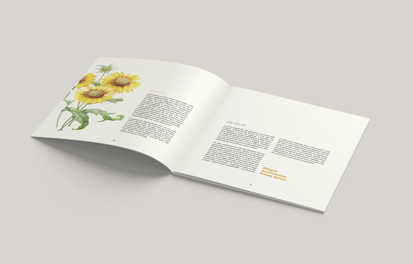 graphic design  Catalogue Tuum iusve branding  progettazione