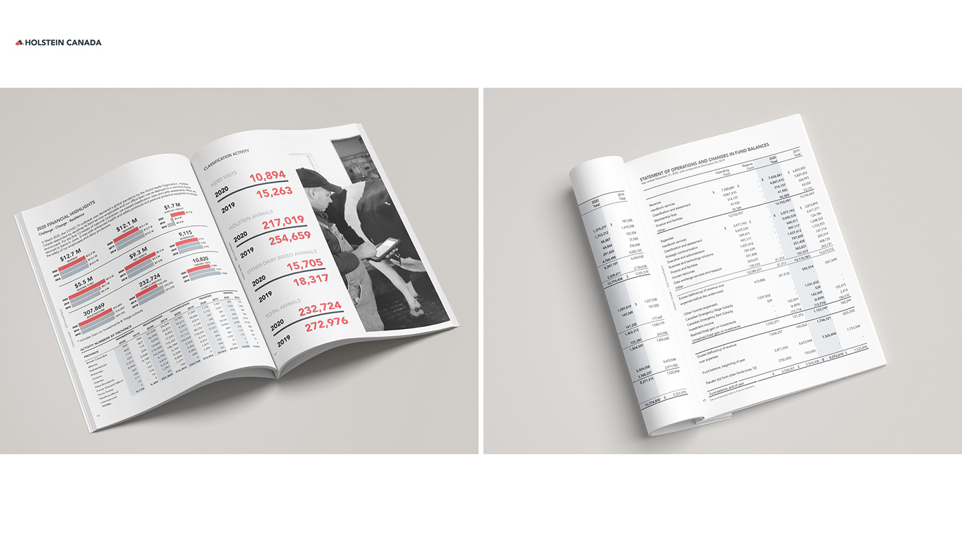 print Layout book InDesign Magazine design