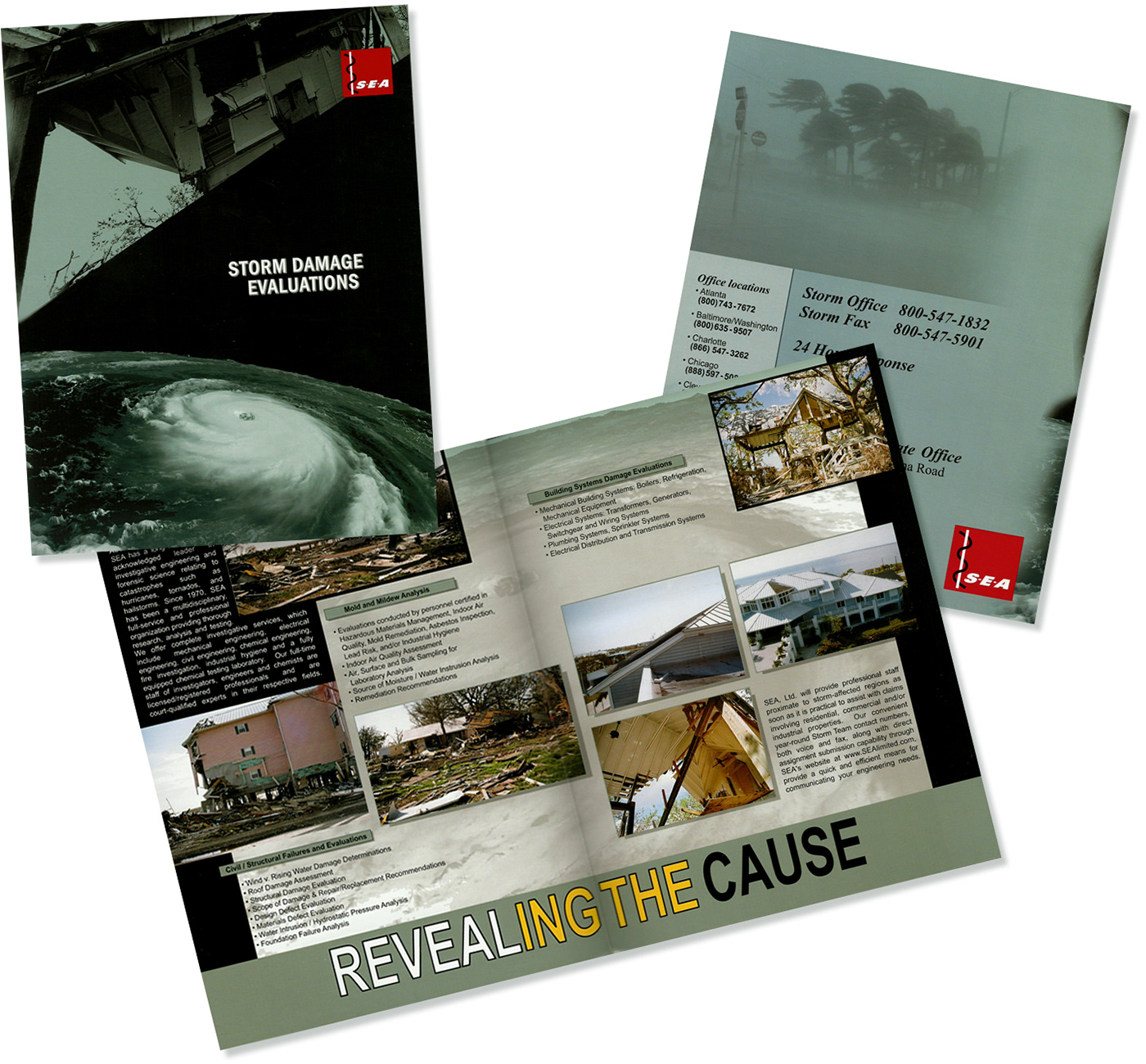 brochure Collateral graphic design  Creative Direction 