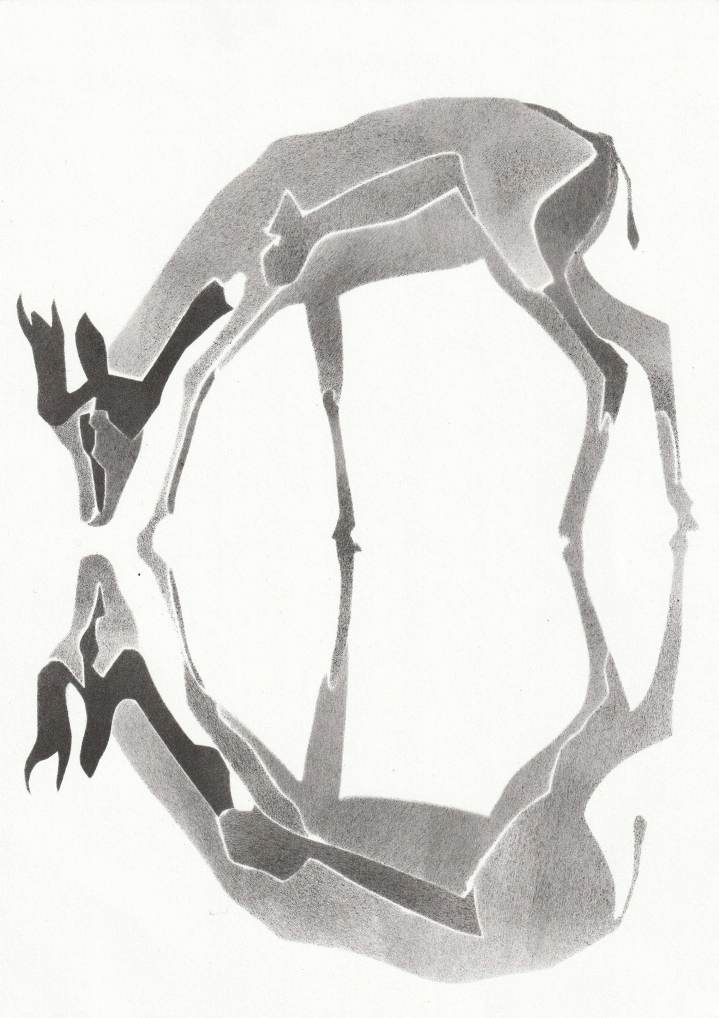 antelope animal Drawing  artwork ILLUSTRATION  design Graphic Designer