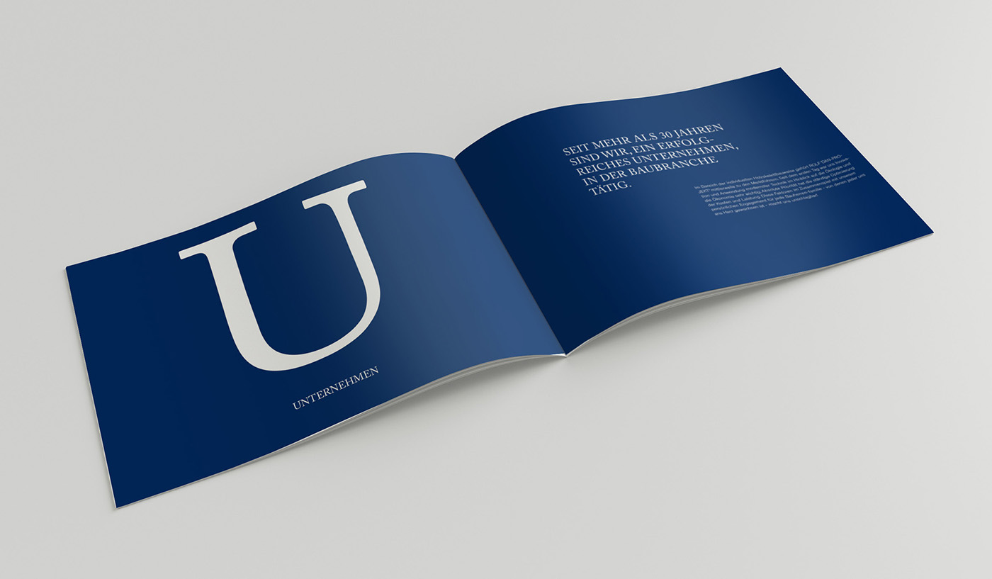 Grafikdesign typography   ILLUSTRATION  editorialdesign