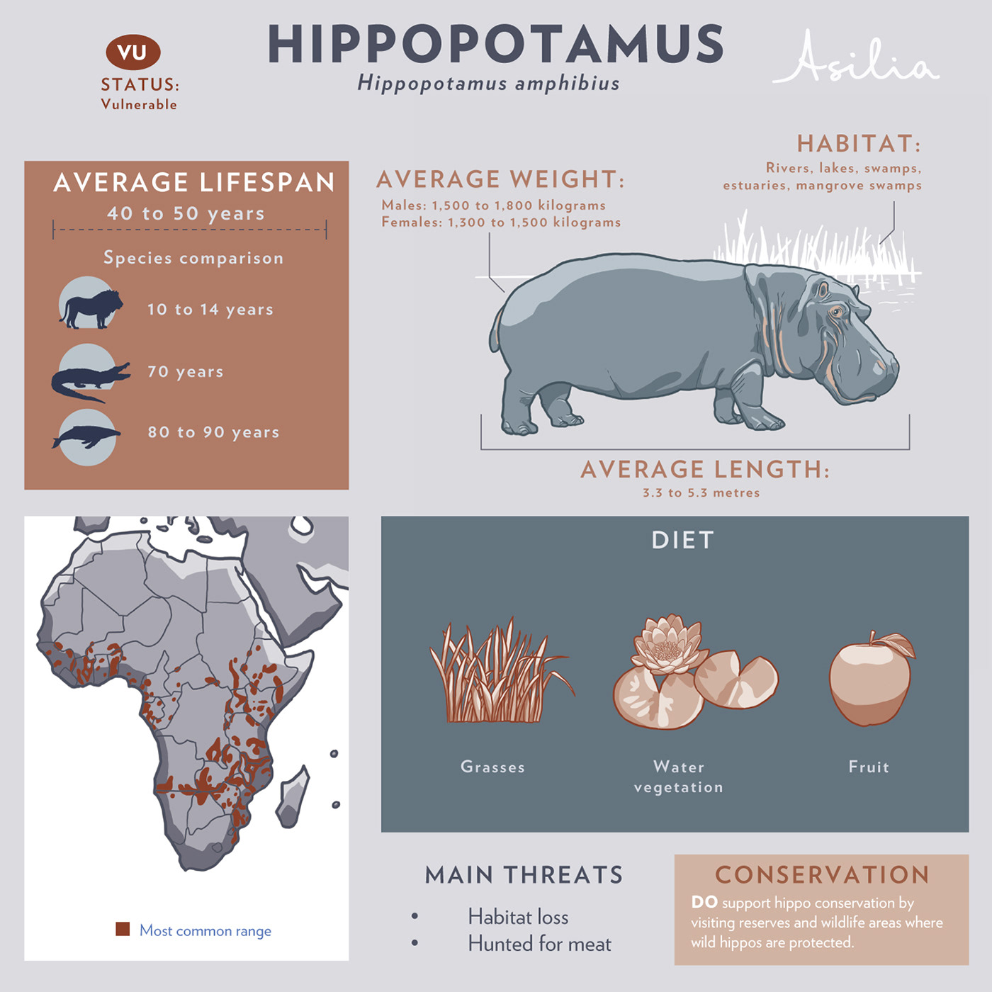 africa animals crocodile dolphin hippo infographic manta ray Turtle