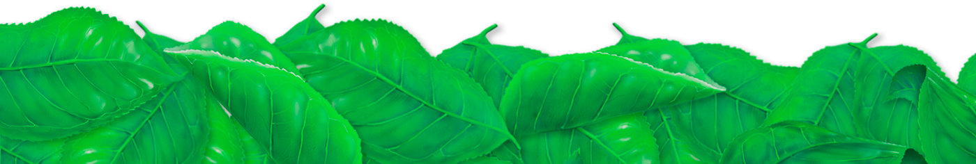 organic logo Emporio identidade marca visual folhas leaf natural Stationery papelaria Fruit green lettering