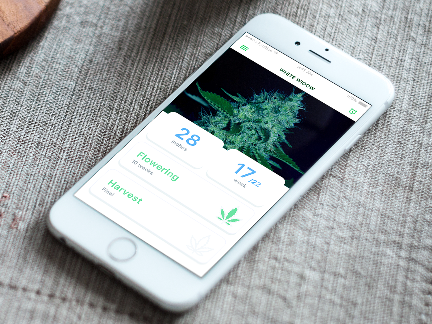 grow grow box freebie sketchapp sketch marijuana day 100 mobile app