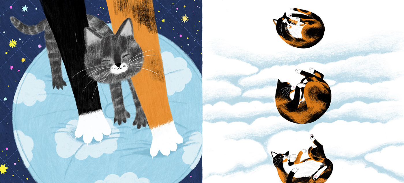 book Cat ILLUSTRATION  Picture book Procreate PUBLISHED Space  story