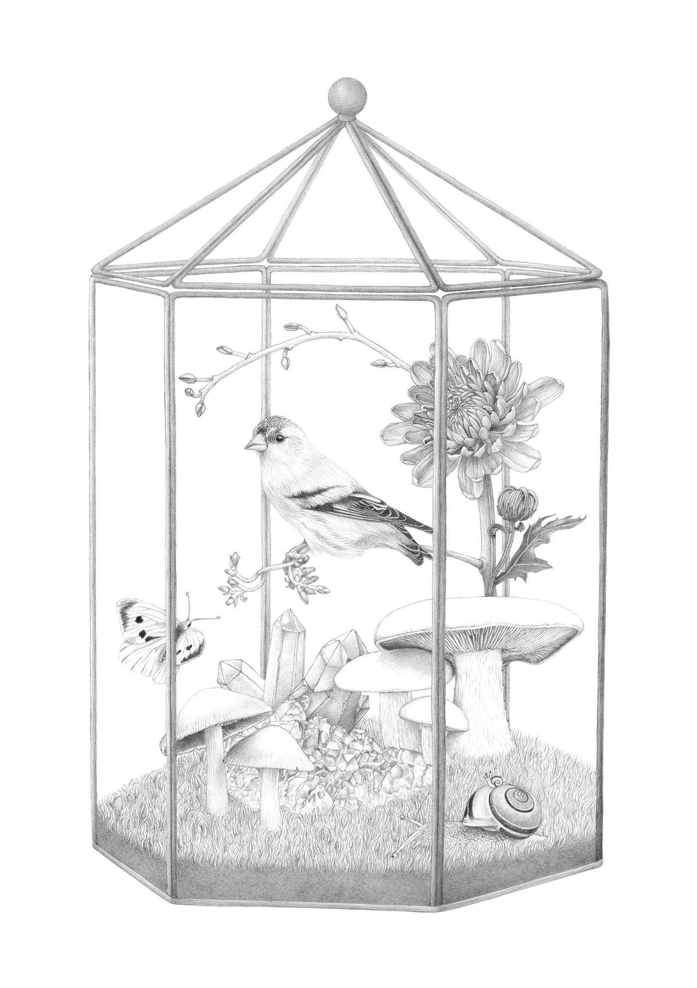 Adobe Photoshop Illustrator Nature terrarium animals plants mushroom cristal microcosm Flowers