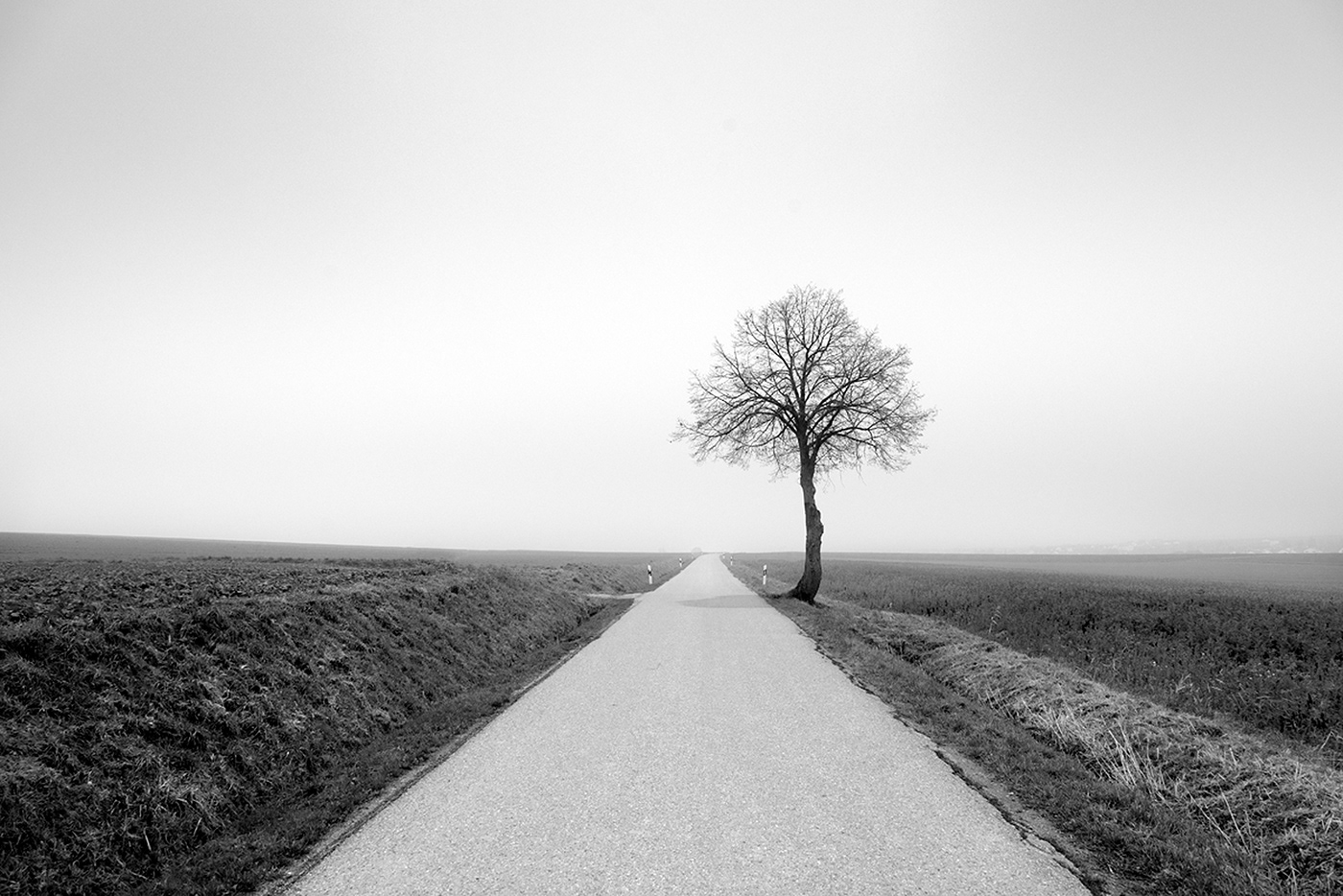 black and white Deutschland germany Landscape monochrome Nature Photography  road trip Travel