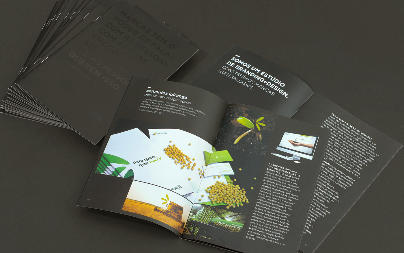 postcard brochure Promotional institutional Website visual identity naming