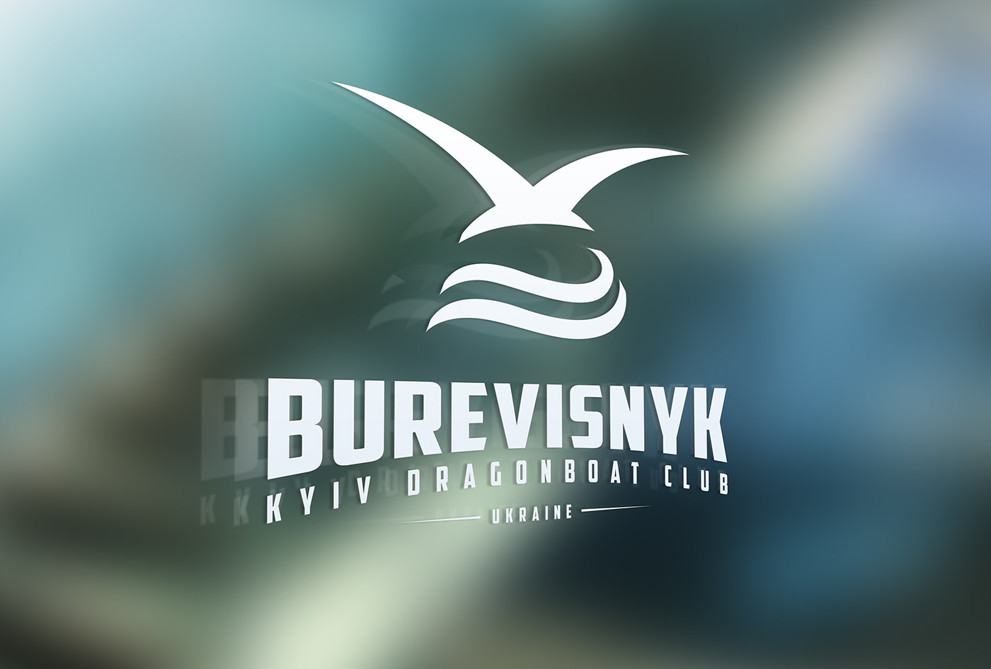 burevisnyk dragonboat logo rebranding branding  sports