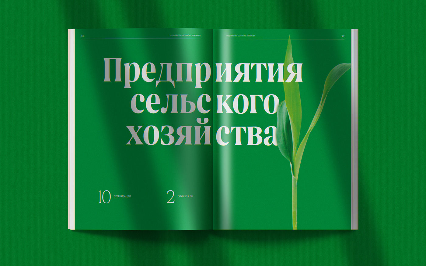Agro book Company Book graphic ILLUSTRATION  InDesign magazine photoshop polygraphy presentation