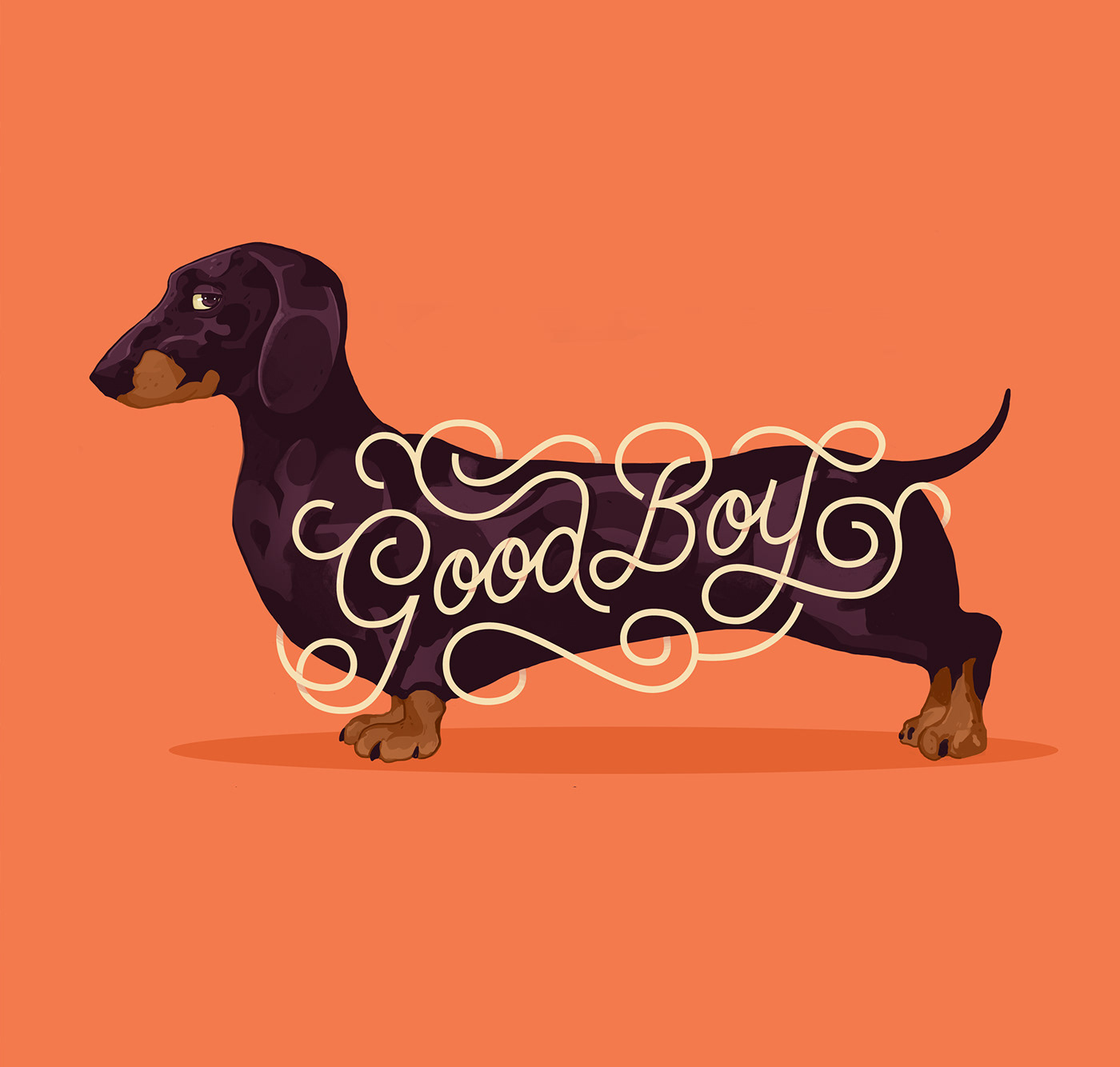 HAND LETTERING ILLUSTRATION  type design lettering monoline Drawing  Calligraphy   dogs Ireland