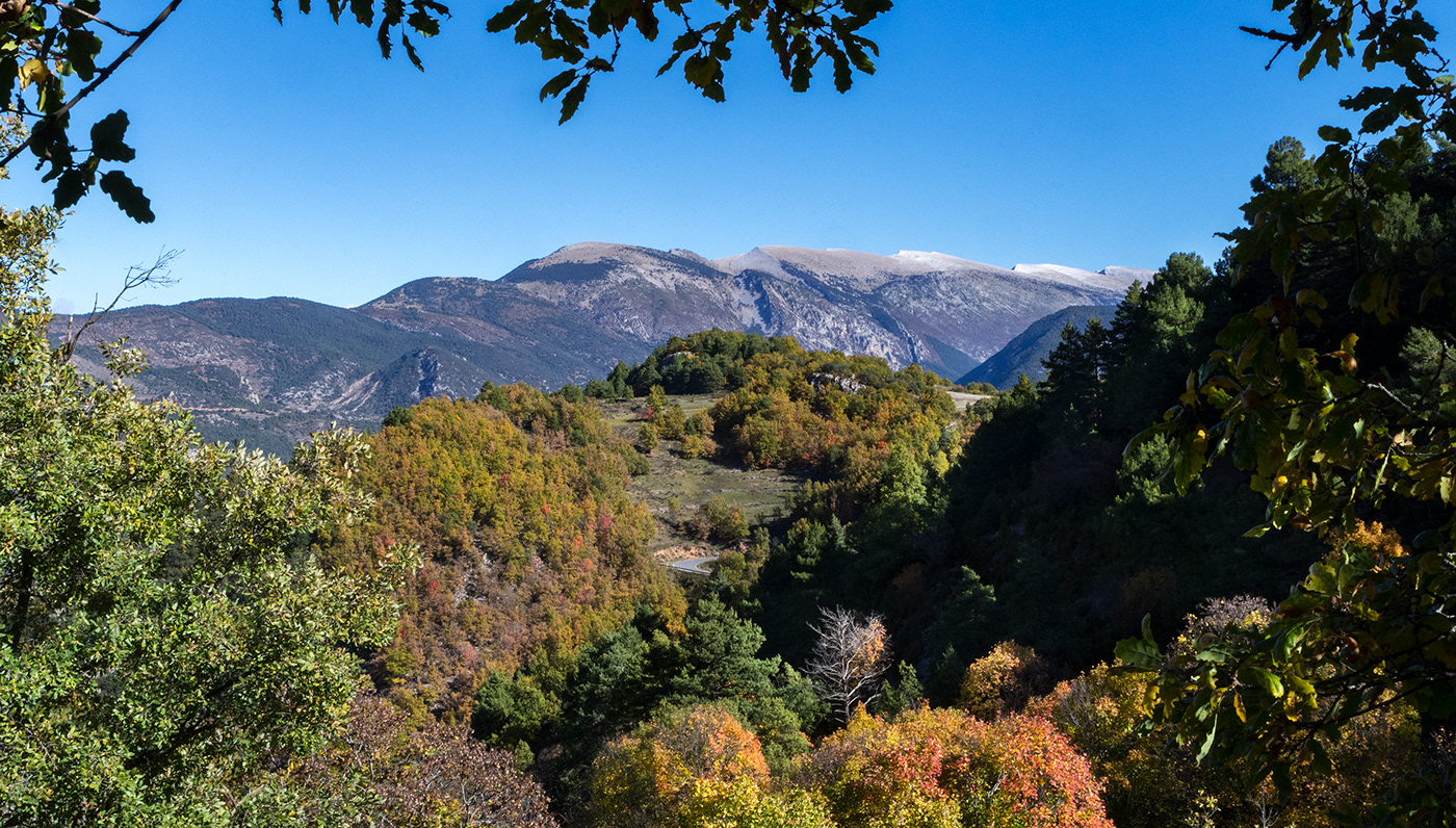 autumn colors forest Landscape mountain Nature Photography  town
