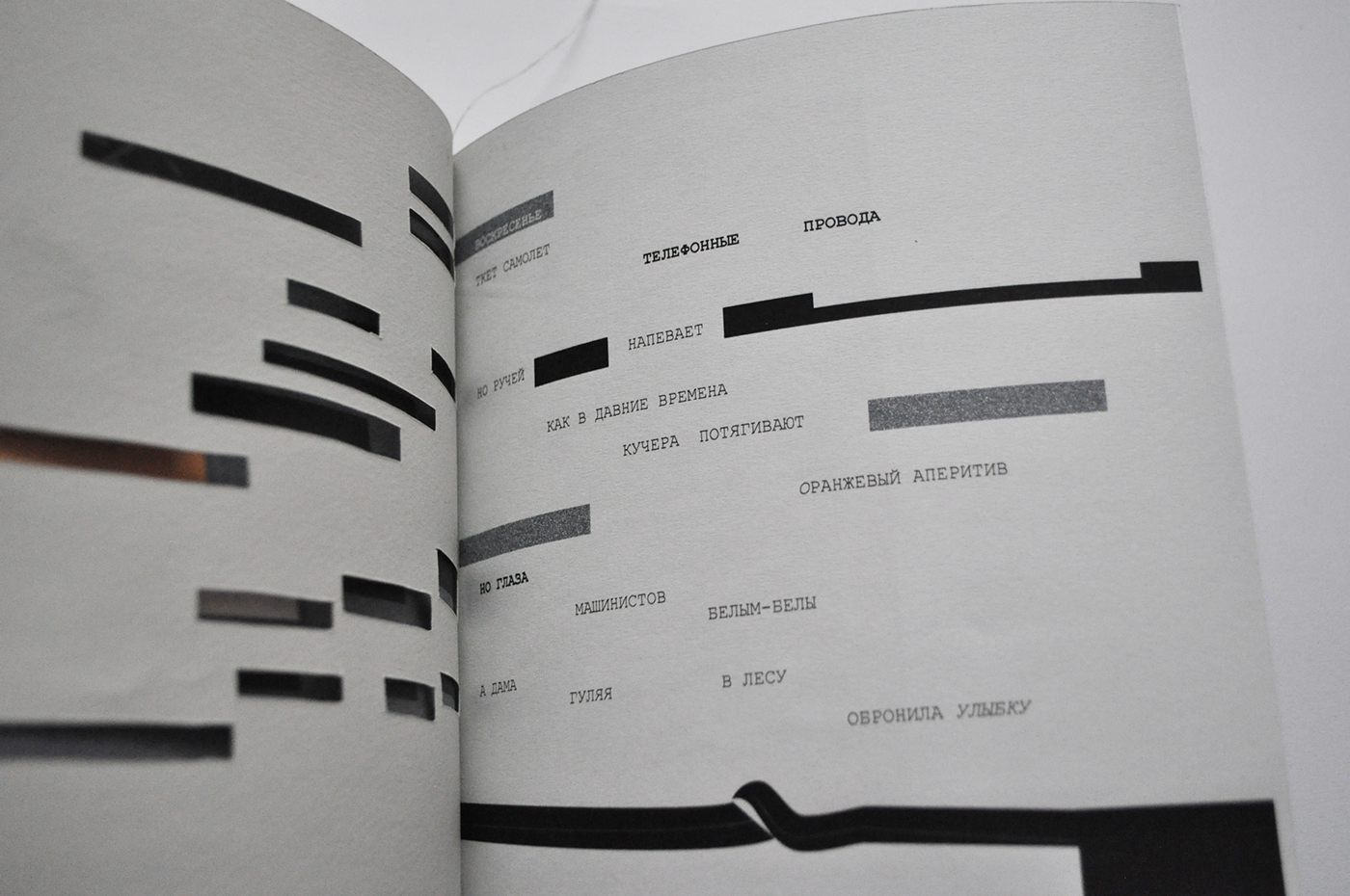 Dada typography   graphic Poetry  book