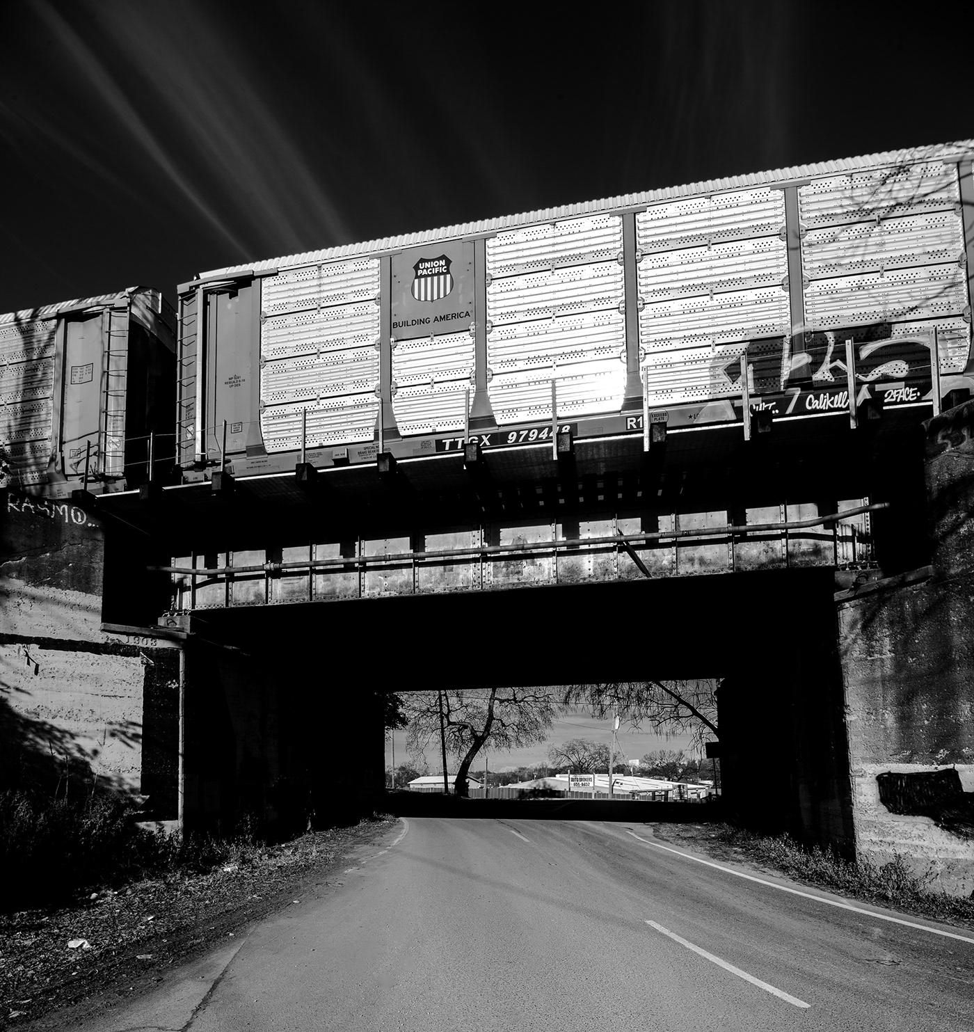 Landscape black and white Photography  ansel adams Nature bridge