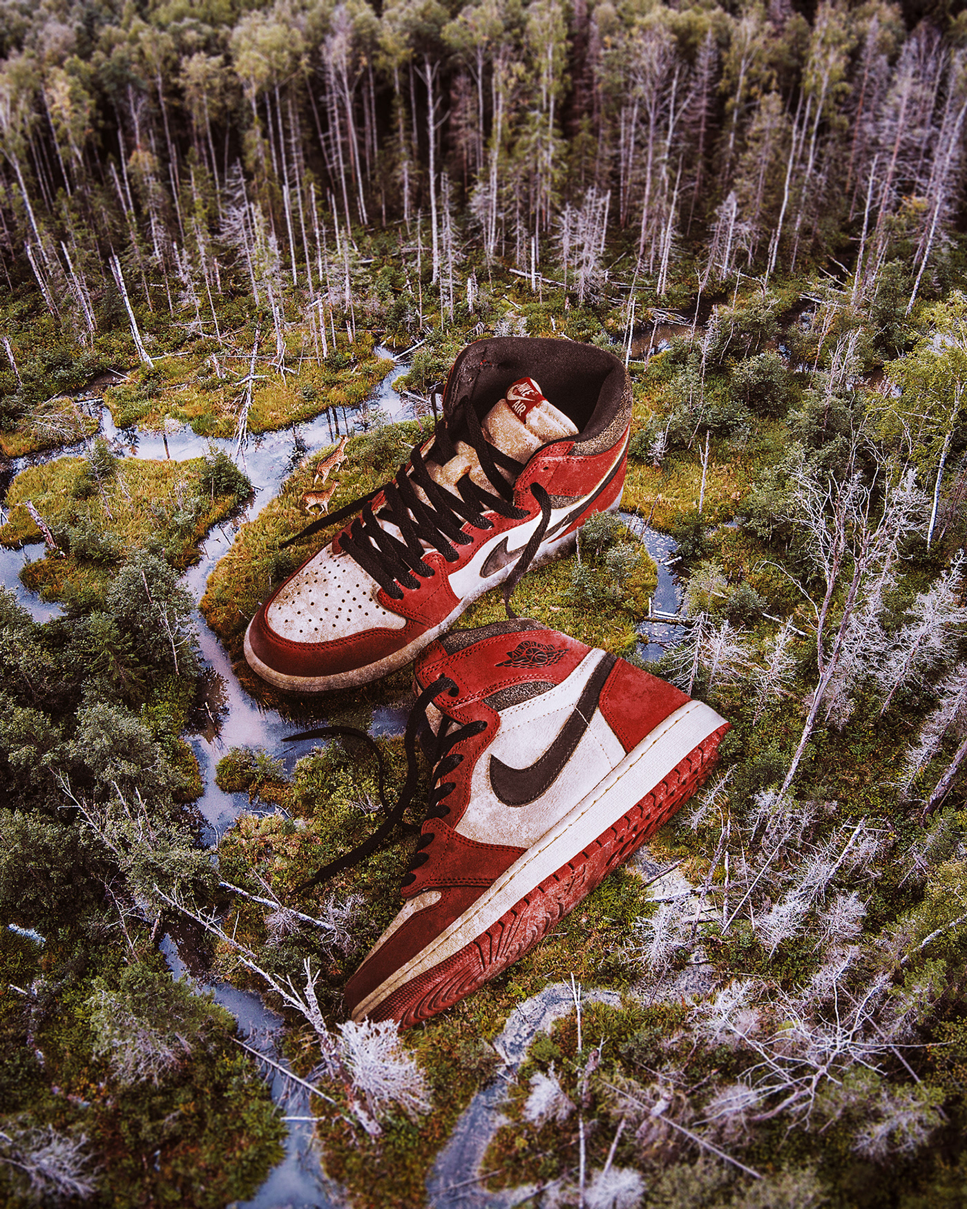 Giant sneaker photo composite in a forest . Retouching using Photoshop