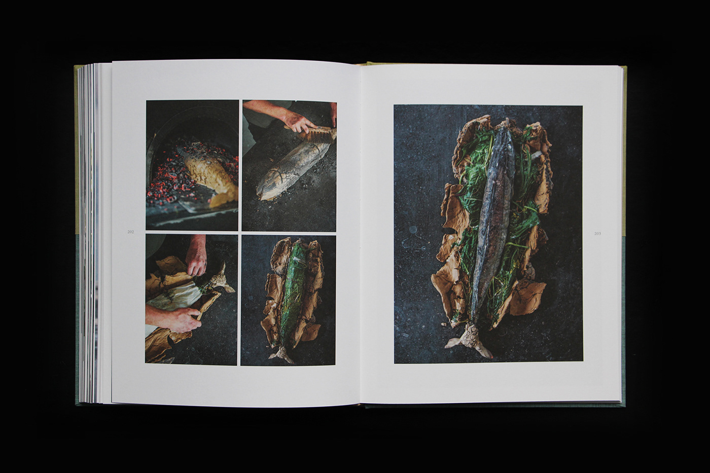 Bookdesign editorial design  cookbook coverdesign belgium kitchen fishermen fire Nature minimal