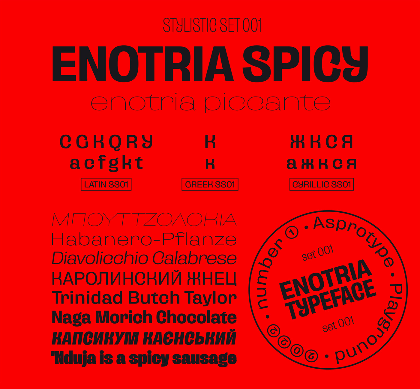 font sans Typeface condensed cyrillic typeface Expanded Greek typeface grotesk grotesque typedesign