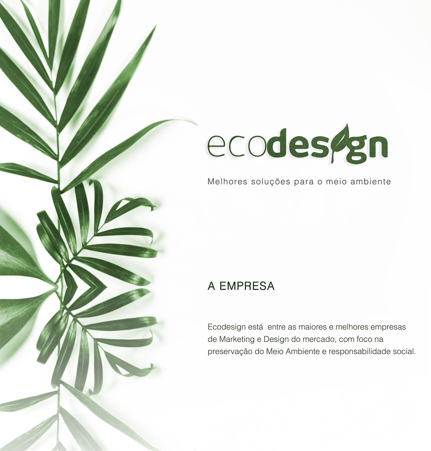branding  identidade visual visual identify marca Meio Ambiente ecodesign ecologia Verde environment green