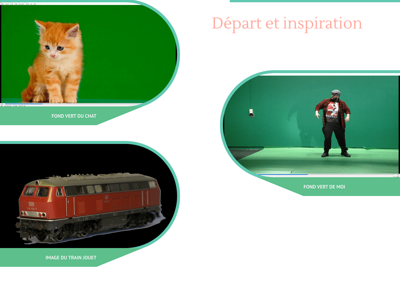 integration photo Cat cute small giant video Premiere Pro Video Editing green screen
