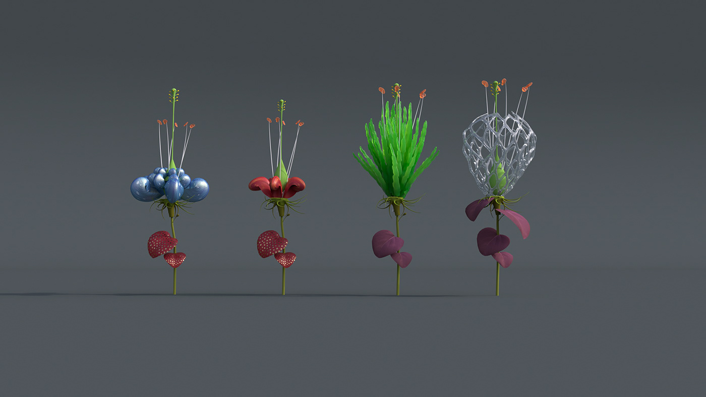 AR 3D flower app Flowers animation  bloom Nature polinations UK