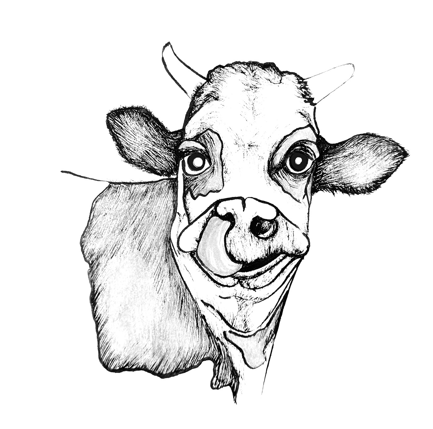 ilustracion Vaca Muuca heladeria