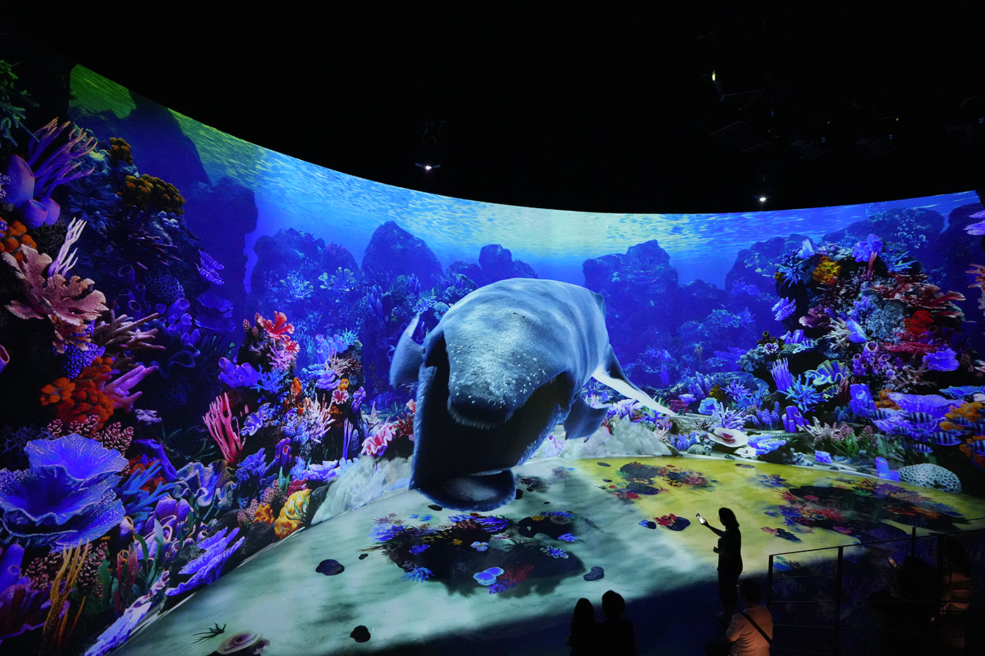 immersive immersive experience museum Media Art deepdive Museum Design waterfall acuarium immersivecontent