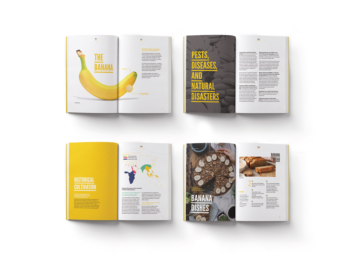 adobeawards graphic design  publication editorial design  banana book design