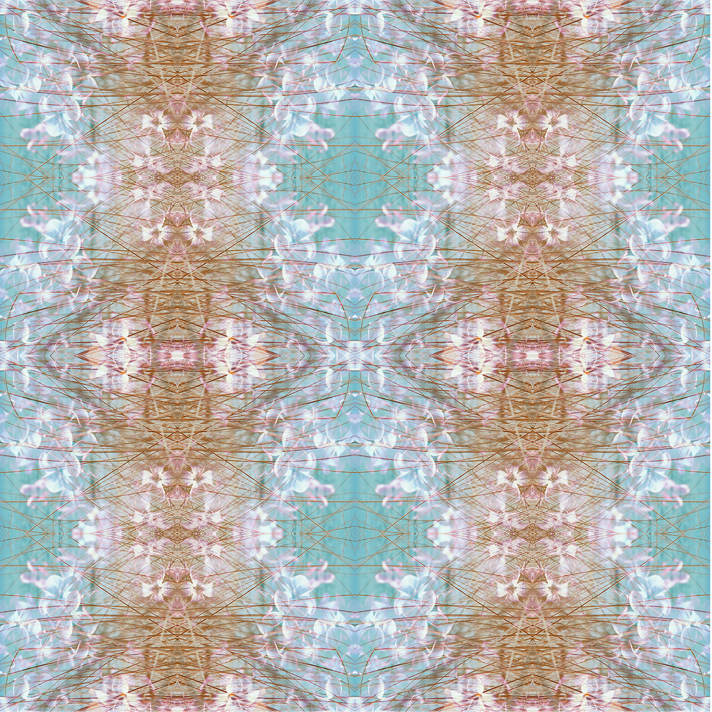 kaleidoscope mirroring photogrpahy abstract florals floral