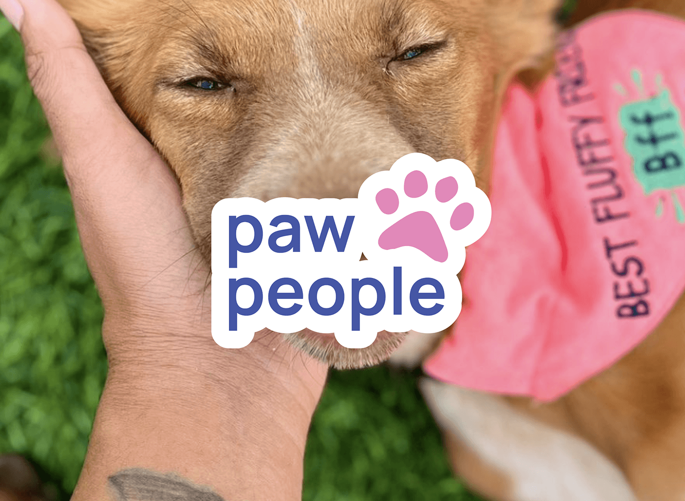 Paw people logo design in purple and pink on a photo of a dog