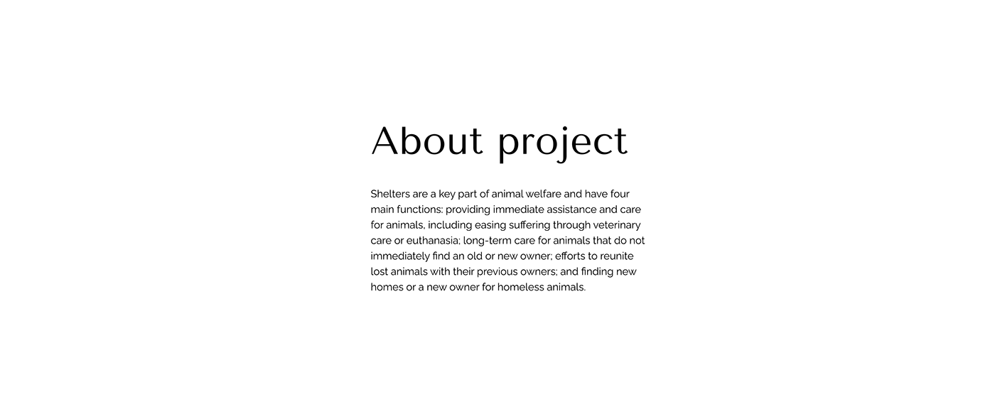 animals concept design Figma Interface UI/UX Website