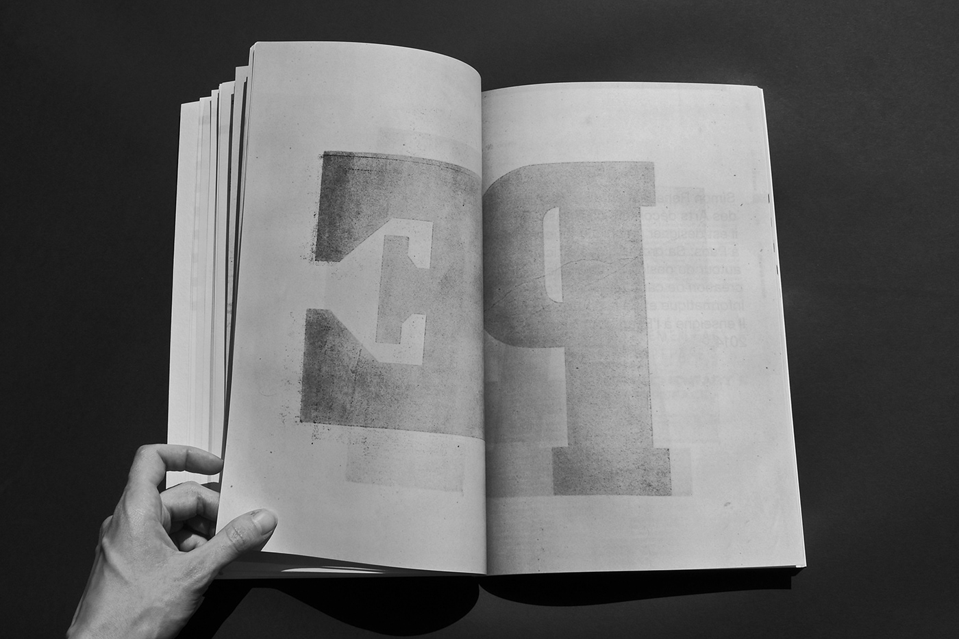 book edition editorial editorial design  graphic design  graphism Layout type design Typeface typography  
