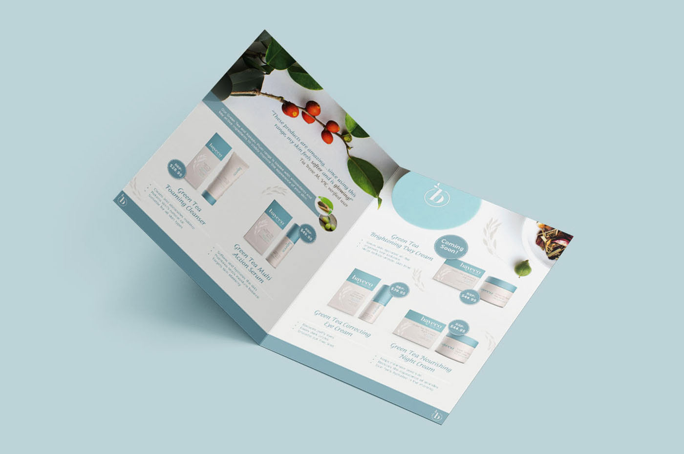 graphic design  brochure design layout and design Adobe Photoshop adobe illustrator Adobe InDesign