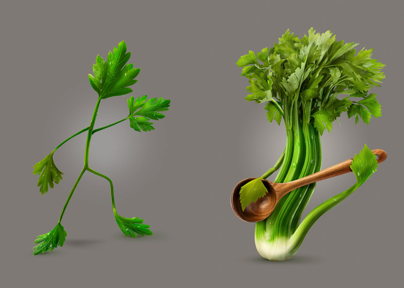 Character design  photoshop retouch vegetables seasonings kitchen